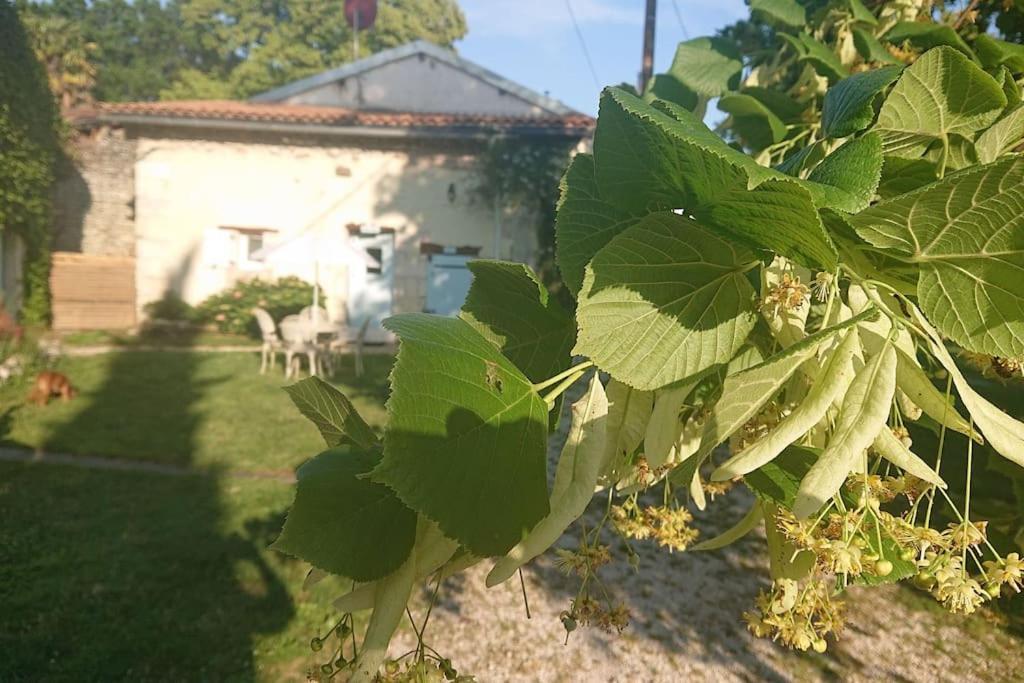 Entire Apartment With Swimming Pool Near Aubeterre Saint-Romain  エクステリア 写真