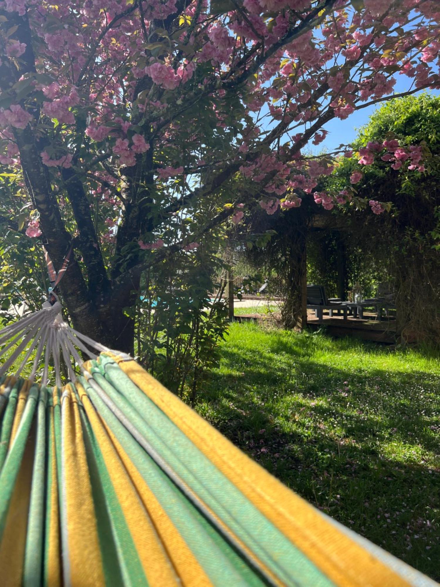 Entire Apartment With Swimming Pool Near Aubeterre Saint-Romain  エクステリア 写真
