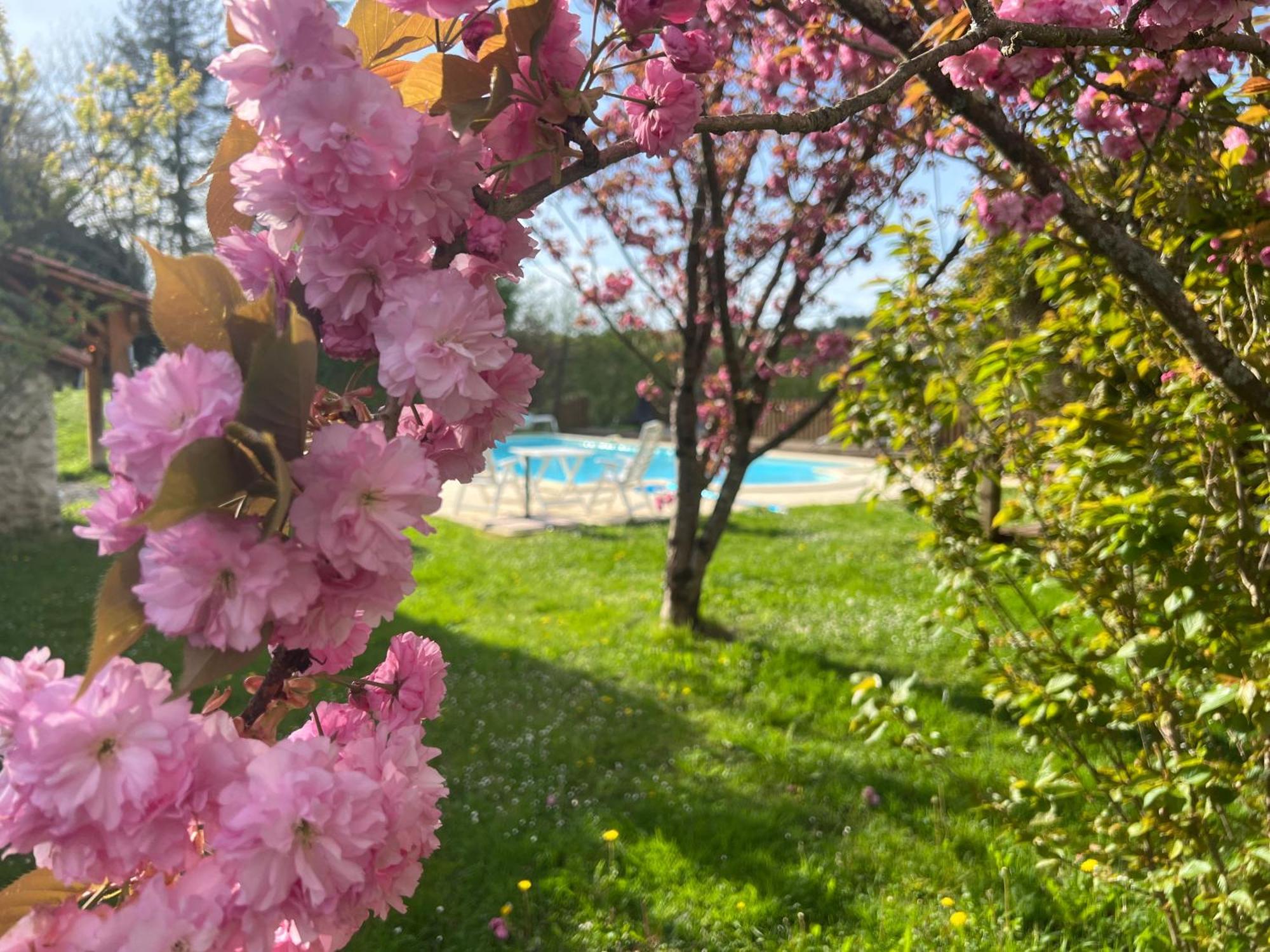 Entire Apartment With Swimming Pool Near Aubeterre Saint-Romain  エクステリア 写真